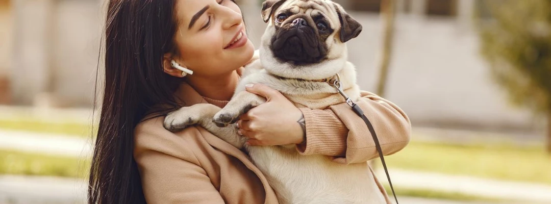 Alerta para amantes de los animales: estafadores usan IA para pedir dinero por mascotas